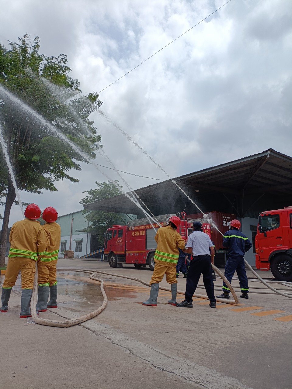 5f553201a09e65c03c8f280