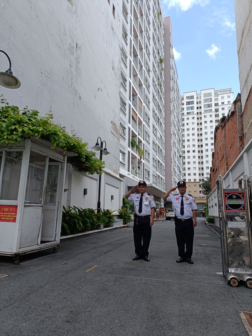 01aac363adfc68a231ed24