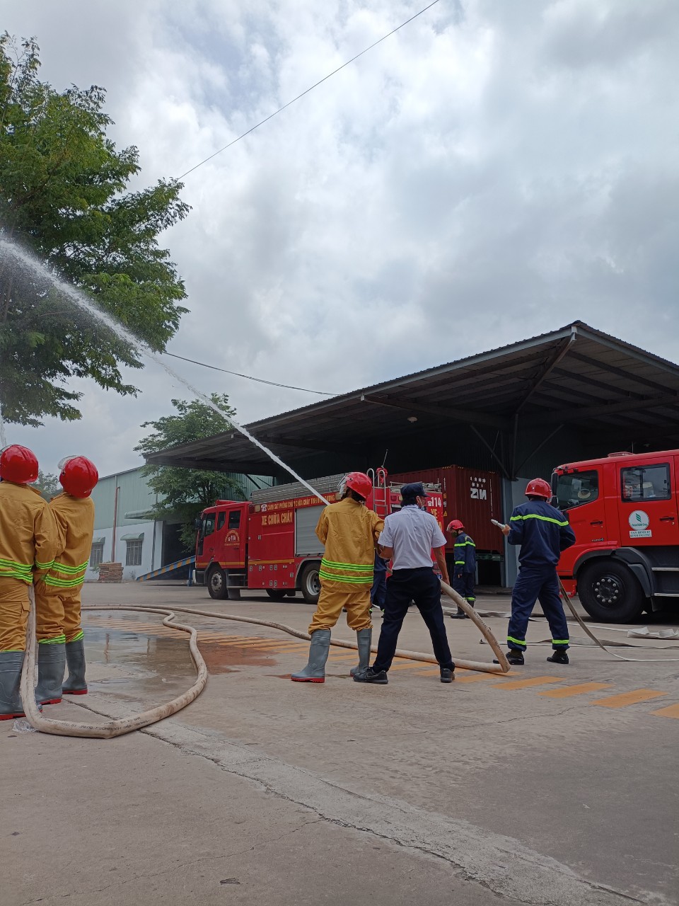 658312fe8061453f1c70278